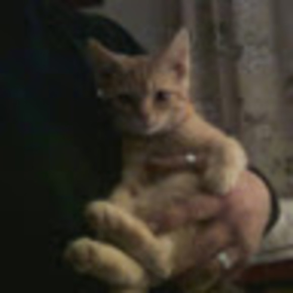 Meet your Posher, Kim - Picture 1 of 1